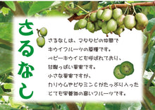 画像をギャラリービューアに読み込む, さるなしジャム 小谷産さるなし